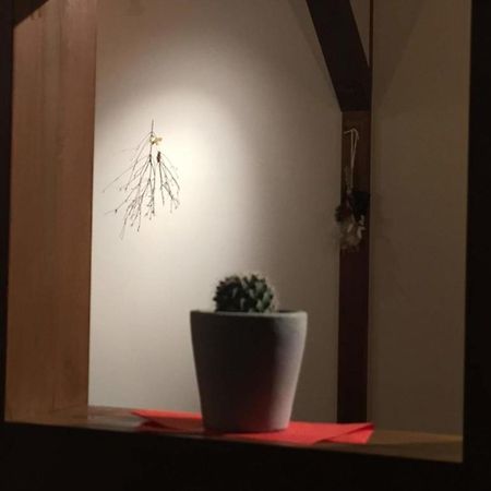 Kinosaki Knot Female Only Dormitory - Vacation Stay 25710V Toyooka  Buitenkant foto